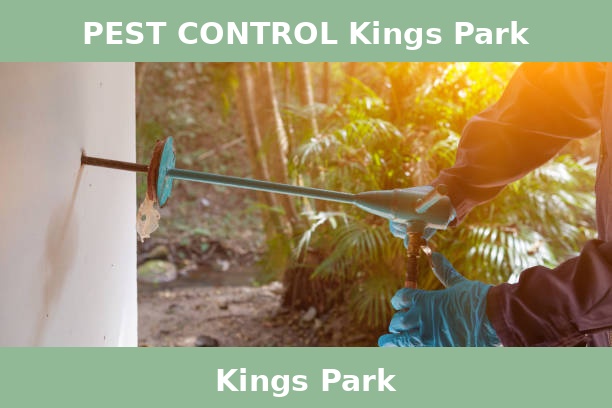 PEST CONTROL Kings Park